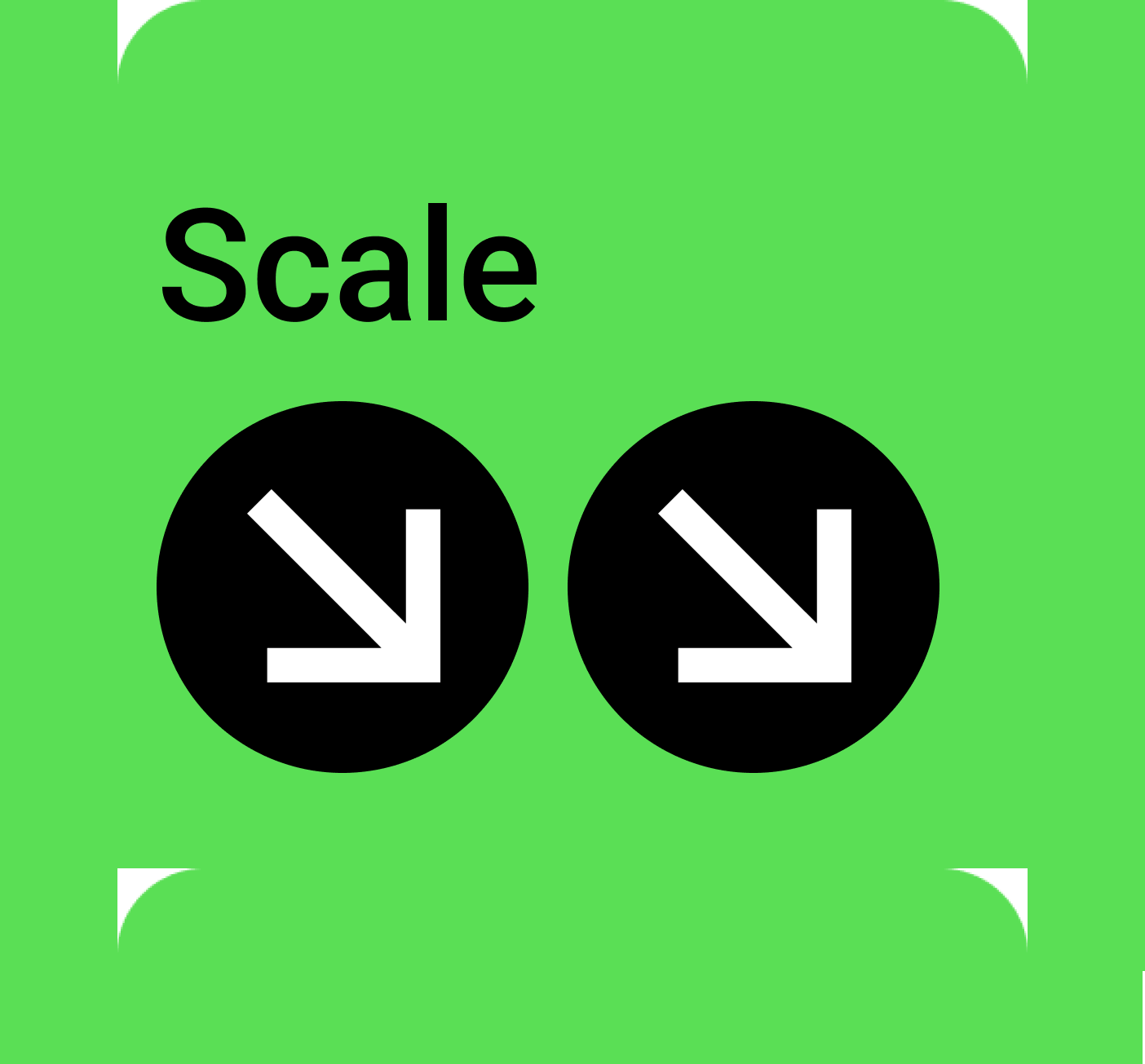 Scale